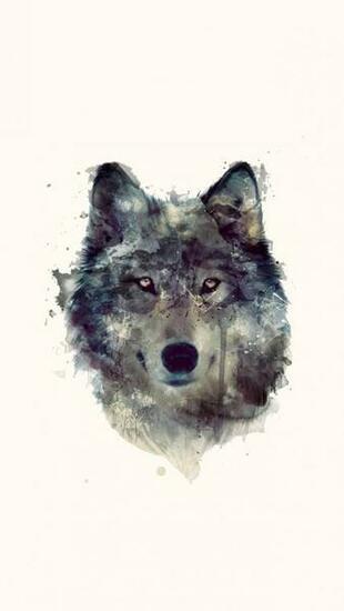 Wolf Artwork Illustration The iPhone Wallpaper