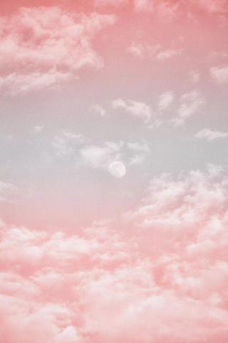 Soft Girl Aesthetic Wallpaper In