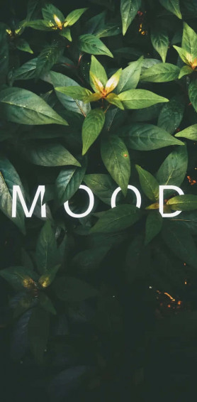 Moody Aesthetic Wallpaper