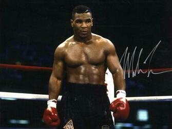 Boxing Fighter Warrior Fight Battle Wallpaper