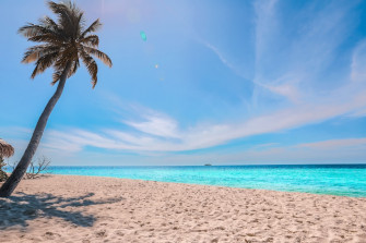 Summer Beach Pictures Image