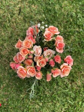Best Gulab Phool Wallpaper Ing