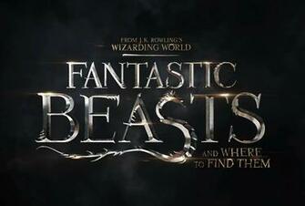 Fantastic Beasts And Where To Find Them Wallpaper Image Photos