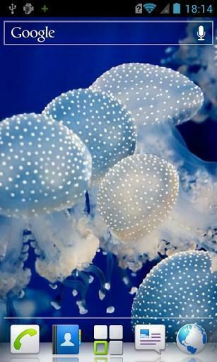 Bigger Jellyfish HD Live Wallpaper For Android Screenshot