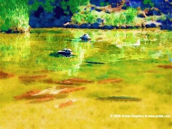 Arride Graphics Koi Pond Desktop Wallpaper