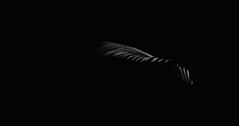 Black Wallpaper HD Hq
