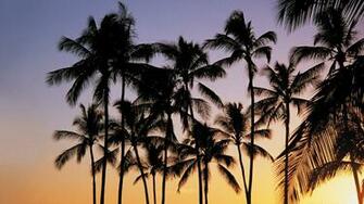 Laptop Beautiful Summer Wallpaper For Background