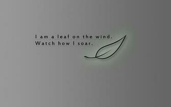 Wind Firefly Fly Watches Wallpaper High Resolution