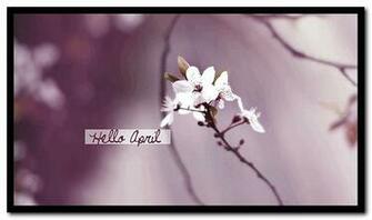 Hello April Wallpaper HD Image And Pictures Happy Holidays