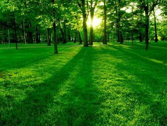 Nature Awesome Landscape High Definition HD Desktop Wallpaper