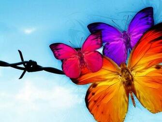 Best Top Desktop Butterflies Wallpaper HD Butterfly Jpg