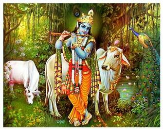 Lord Krishna HD Wallpaper