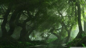 Beautiful Forest Lake Wallpaper
