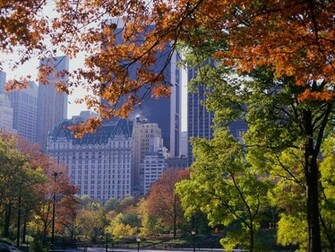 Central Park Wallpaper