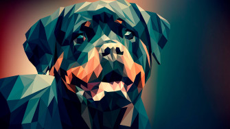 Top Polygon Art Wallpaper Full HD 4k To Use