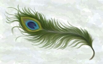 Pin Peacock Feather Wallpaper