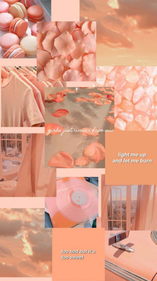 Enjoy The Vibrant Colors Of Orange And Peach Together In This Wallpaper