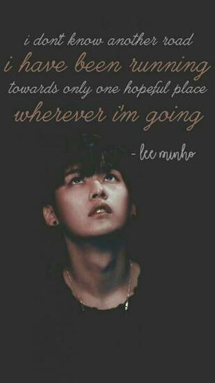 Still Want To Minho Back Stray Kids Wallpaper