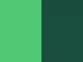 Resolution Emerald And English Green Solid Two Color