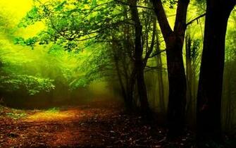 River Forest Wallpaper