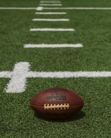 Nfl Stadium Pictures Image
