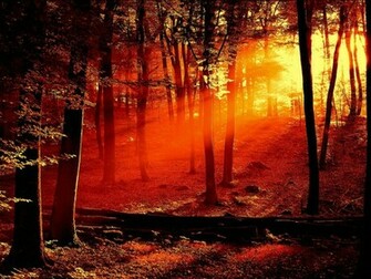Labels 3d Wallpaper Animated Background Nature