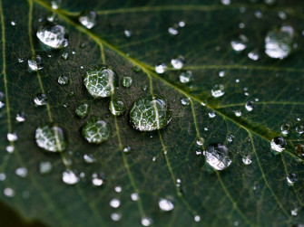 Moving Water Wallpaper