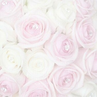 Background Wedding Reference Decoration