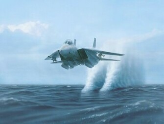 Tomcat HD Wallpaper Pictures