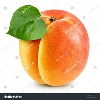 Apricot Leaves Isolated On White Background Clipping Path