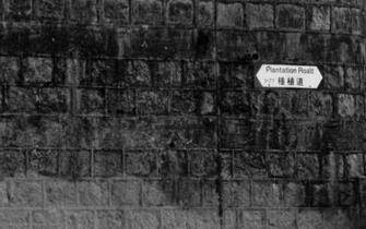Black N White Background Collection