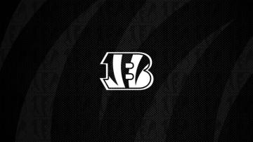 Cincinnati Bengals Fans Wallpaper