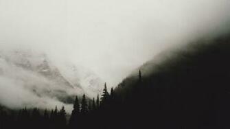 Black And White Mountains Wallpaper Forests Trees Foggy