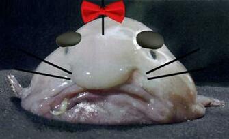 Mr Saturn Blobfish By Squirrelosaurus Rex