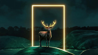 Deer Desktop Wallpaper