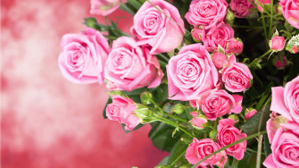 Desktop Rose Bouquet Picture Wallpaper