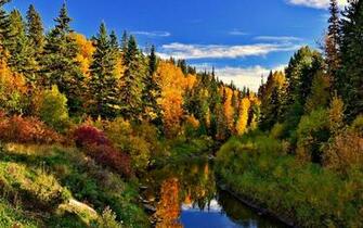 Whitemud Ravine By J Caedes Desktop Wallpaper