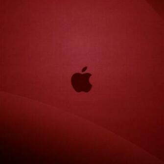 iPad Mini Wallpaper Size