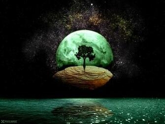 Tapet Wallpaper