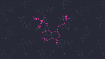 4k Colorful Psilocybin Molecular Models Minimalism
