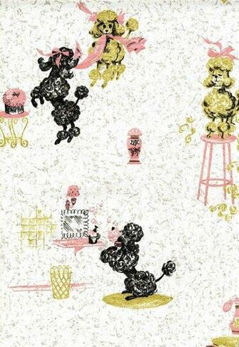 French Poodle Wallpaper
