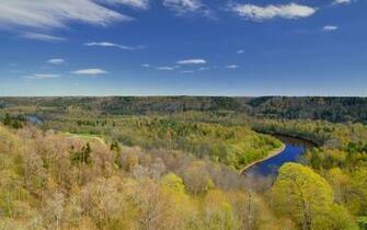Spring Forest Sigulda Latvia Desktop Pc And Mac Wallpaper