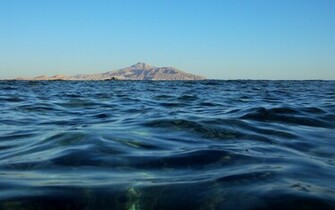 Ocean Swimming Water Wallpaper And Image