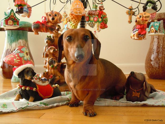 Christmas Dachshund Ver By Vasilisasdolls