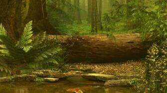 Forest Wallpaper Earth