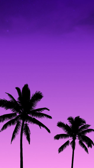 Sunset Wallpaper Beautiful HD iPhone Samsung Mobile