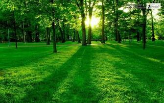 Wallpaper Beautiful Scenery Desktop Landscape