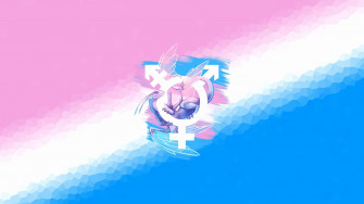Trans Flag Wallpaper