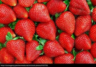 Strawberries Background Royalty Photo