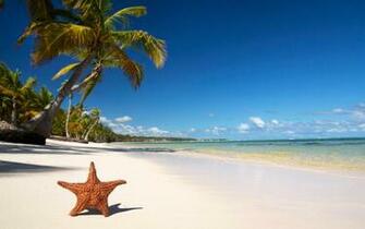 Tropical Christmas Wallpaper